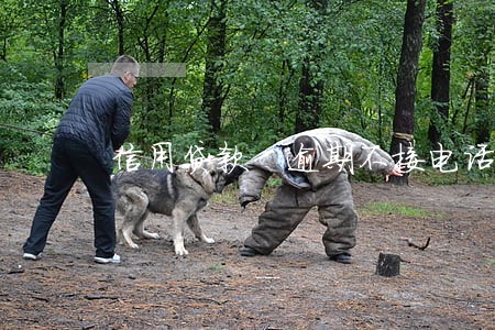 信用贷款 逾期不接电话 信用贷款 逾期不接电话